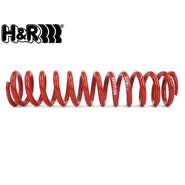 Ελατήριο γραμμικό H&R - Μήκος: 406mm - 30,59(kg/mm) - (R25160300)