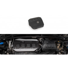Maxton Design Carbon Fiber Engine Cover BMW 1 F40 M135i - (CF-BM-1-40-M-EC2-245-P)
